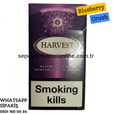 Harvest Blueberry Crush Filter Slim Sigara 1 Paket